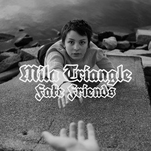 Fake Friends