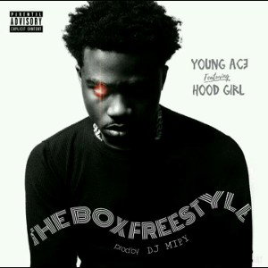 the_box_freestyle_