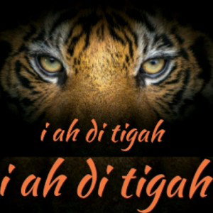 Frazer J - I Ah Di Tigah