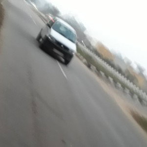 gaddi