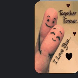 Rose r red Violets Bule