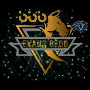  evans pedd _Stay_(Official Audio) on 2020-04-10T11:41:04.709722Z
