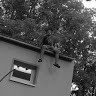 Panic_20-18