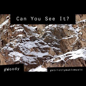 Can You See It?