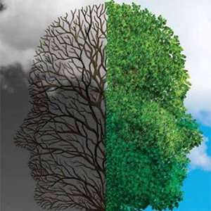 Bipolar