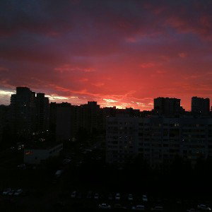 раки в атаке