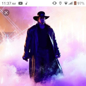 THE UNDER TAKER
