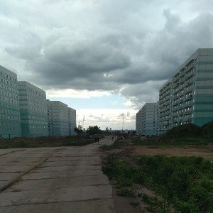 金尸十尸竹尸