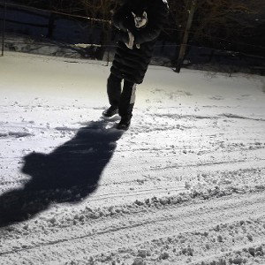 Моя мадам