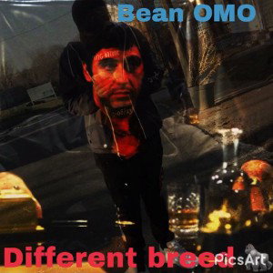 Omo bean - Different breed 