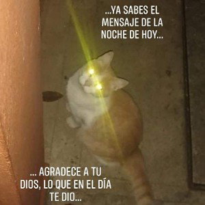 Quien dijo miedo...