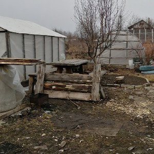 Суецидный друг