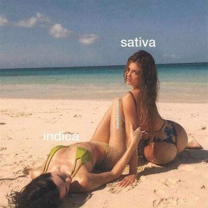 "amantes de los extravagante" 