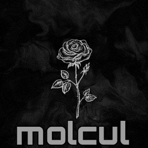 Molcul