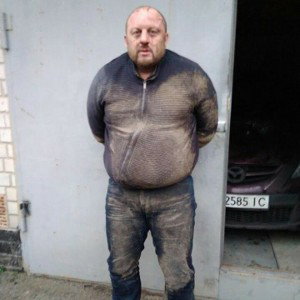 Собаки