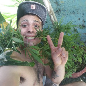 que_pasara realmente delincueente 