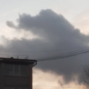 Рвём Ёбла