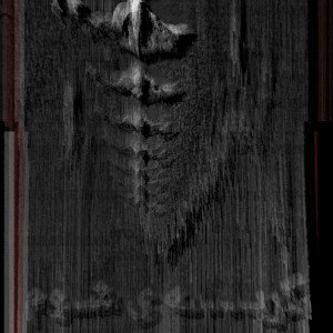 گــربــ ــ ــ ــه ی شــوم