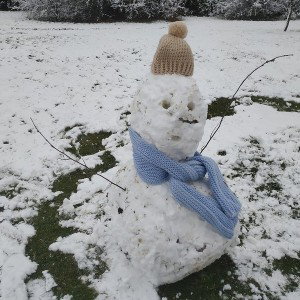 esta nevado