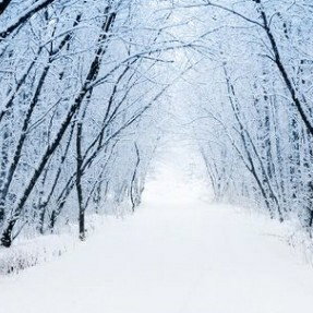 Cold Winter World 