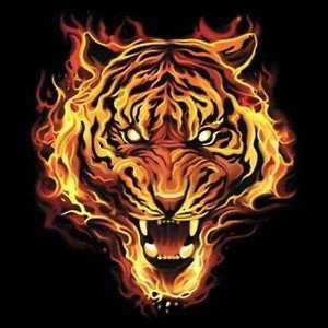 ARTSAP - LAS BESTIAS 🐯