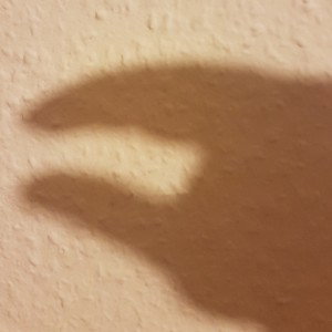 Один 