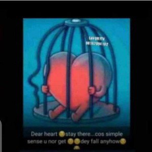 heartbeat
