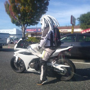 Freestyle Gifted 