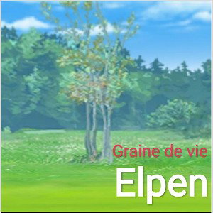 Graine de vie (intro)