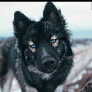 Кто тут первый