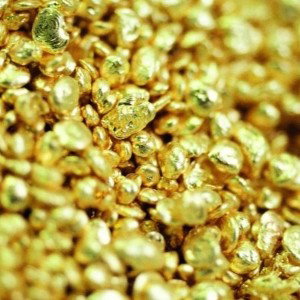Gold Bit-Turbo Nik(YOUTUBE)             