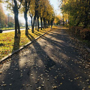 Autumn 