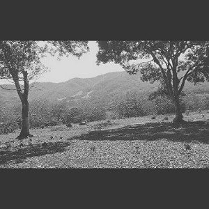 Illicit Kit-Arcoíris gris