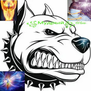       Духовное настроение😇🤑🤩🤗                       