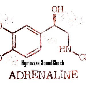 ftSoundShock - Адреналин