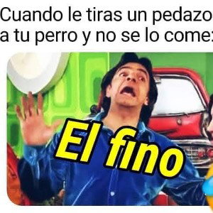 xdxd