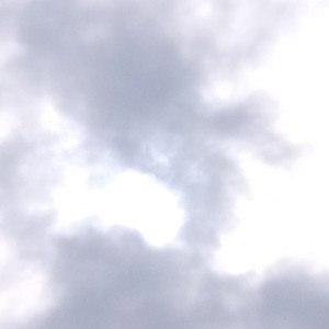 fly
