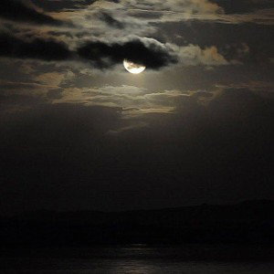 GECE