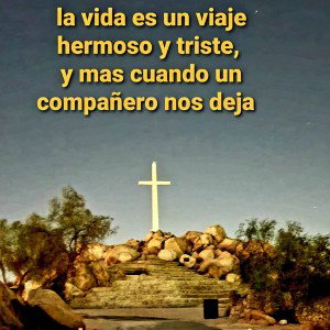 falsarealidad 