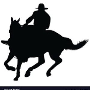 Rein