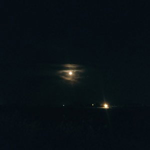 Fevralskiy - пока ты сам