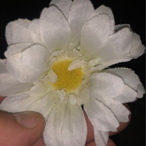 Flower with hopes and blades 