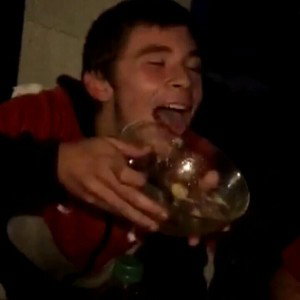 40 degrés 🍸