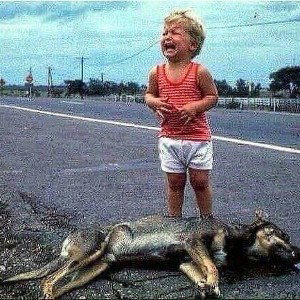 Sparrrtak-Жизнь♡