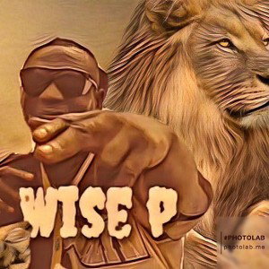 Wise flow 