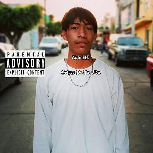 NETO HL // GOLPES DE LA VIDA