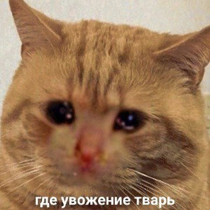 фристайл