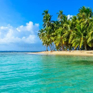🌴💤calma💤🌴