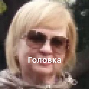 DISS NA UCHILKU