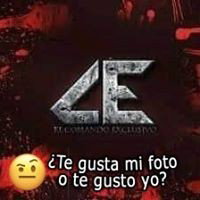 sos un tarado 